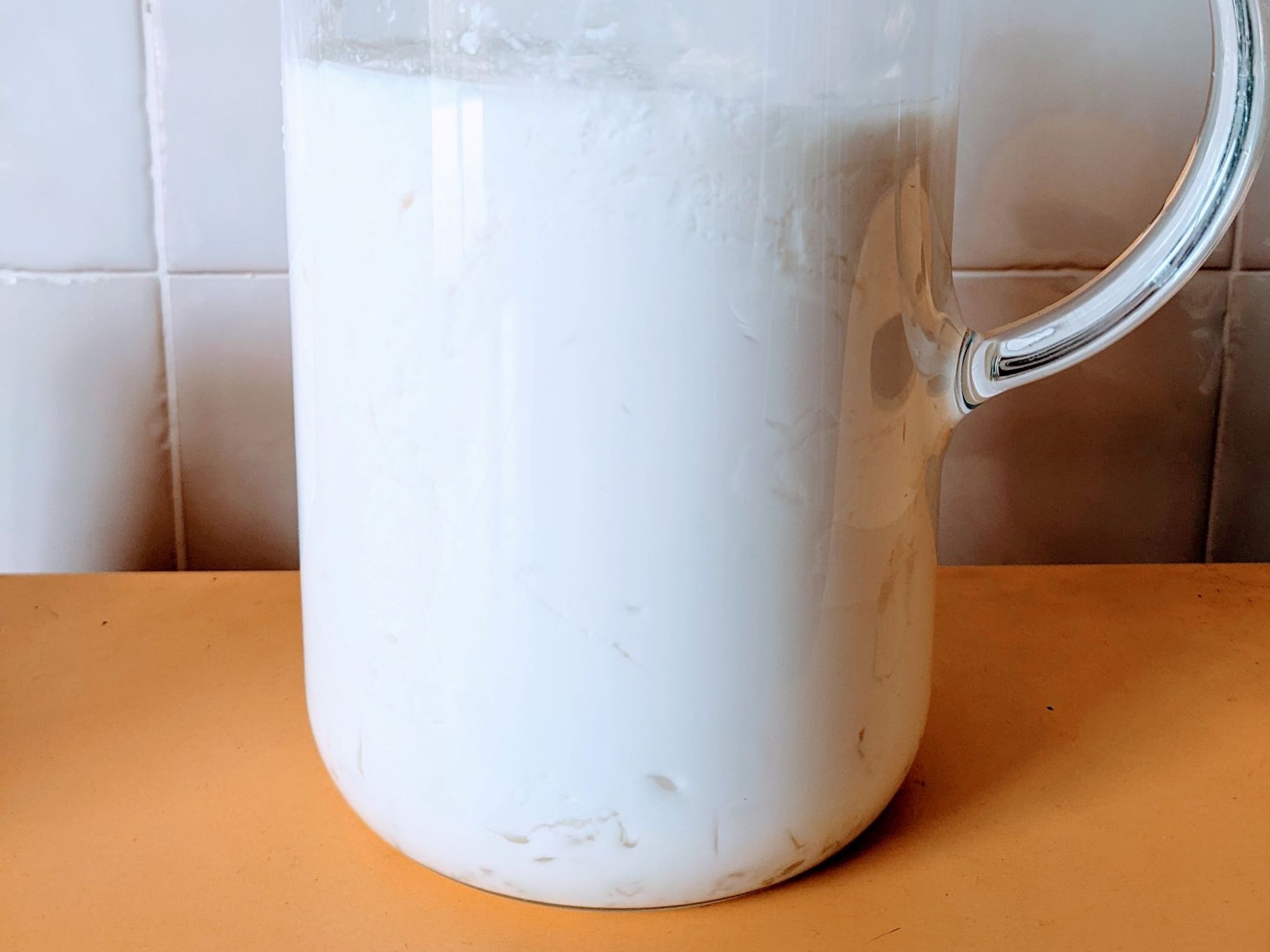 Making Milk Kefir