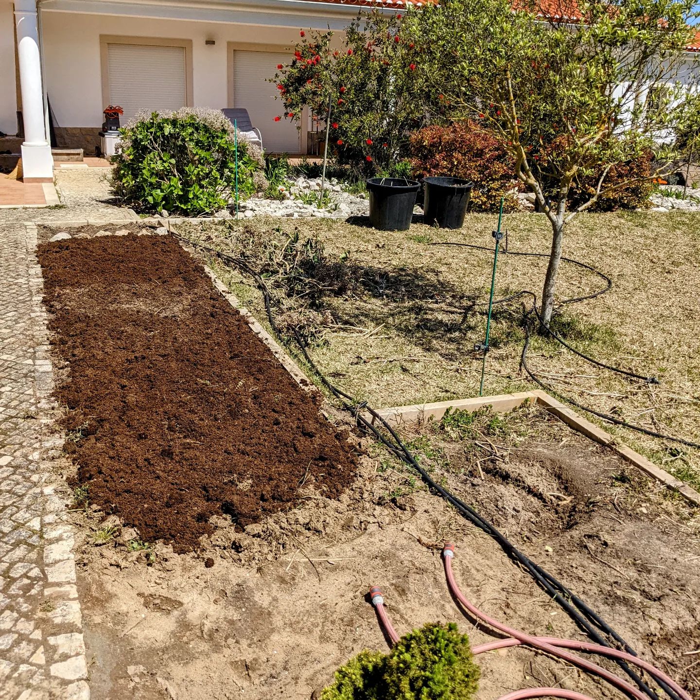 Preparing former hortênsia spot for planting