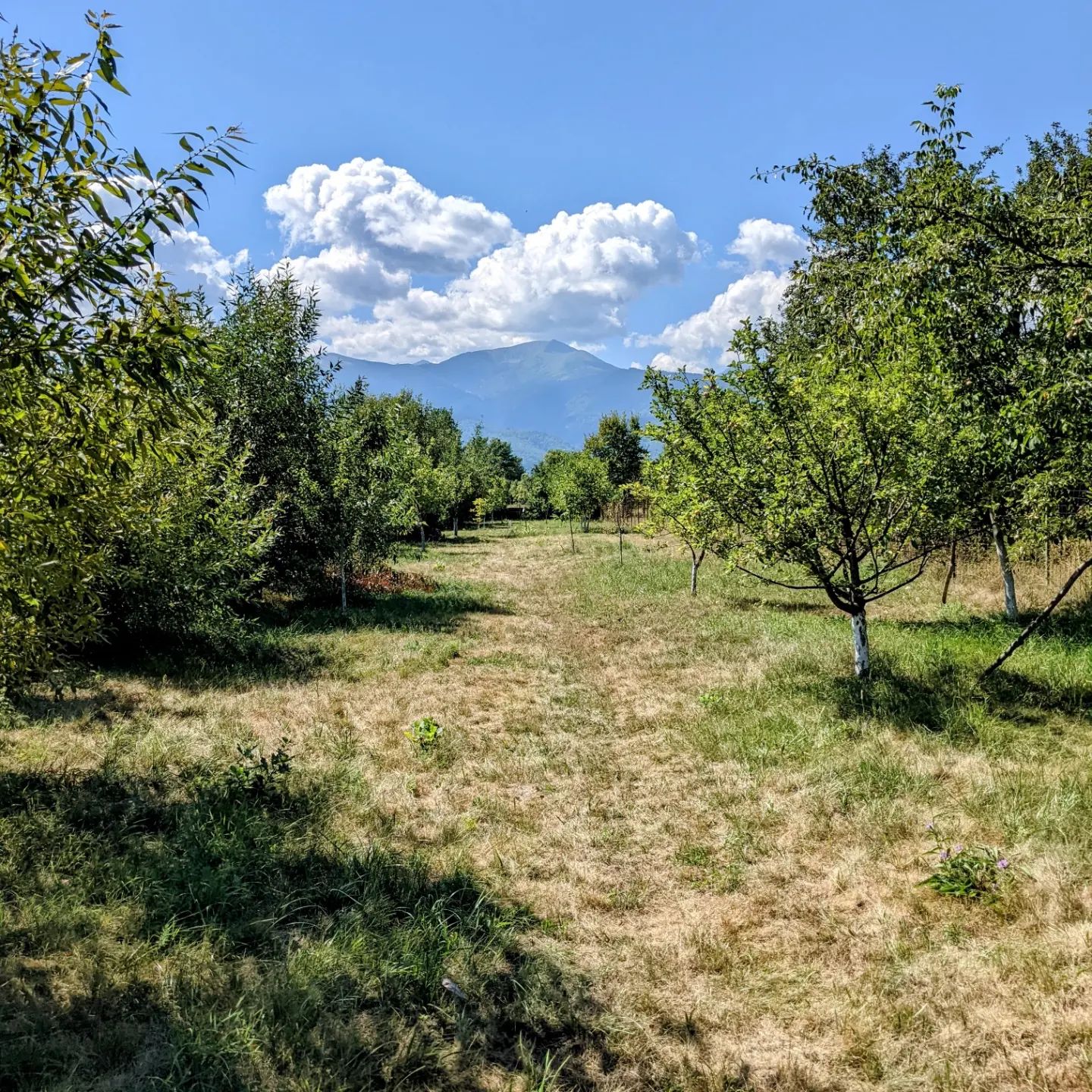 Childhood vacation spot, countryside at the grandparents