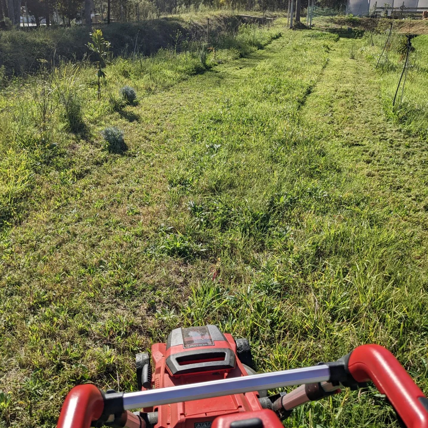 #mowing in #zone2