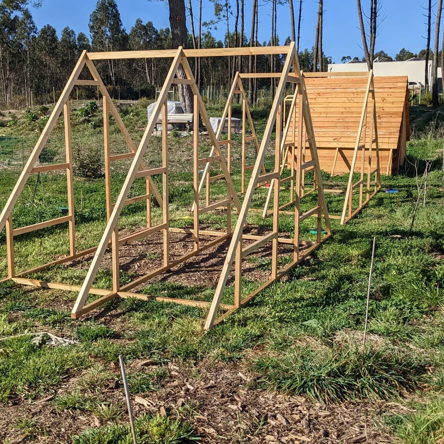 Second new coop frame in place