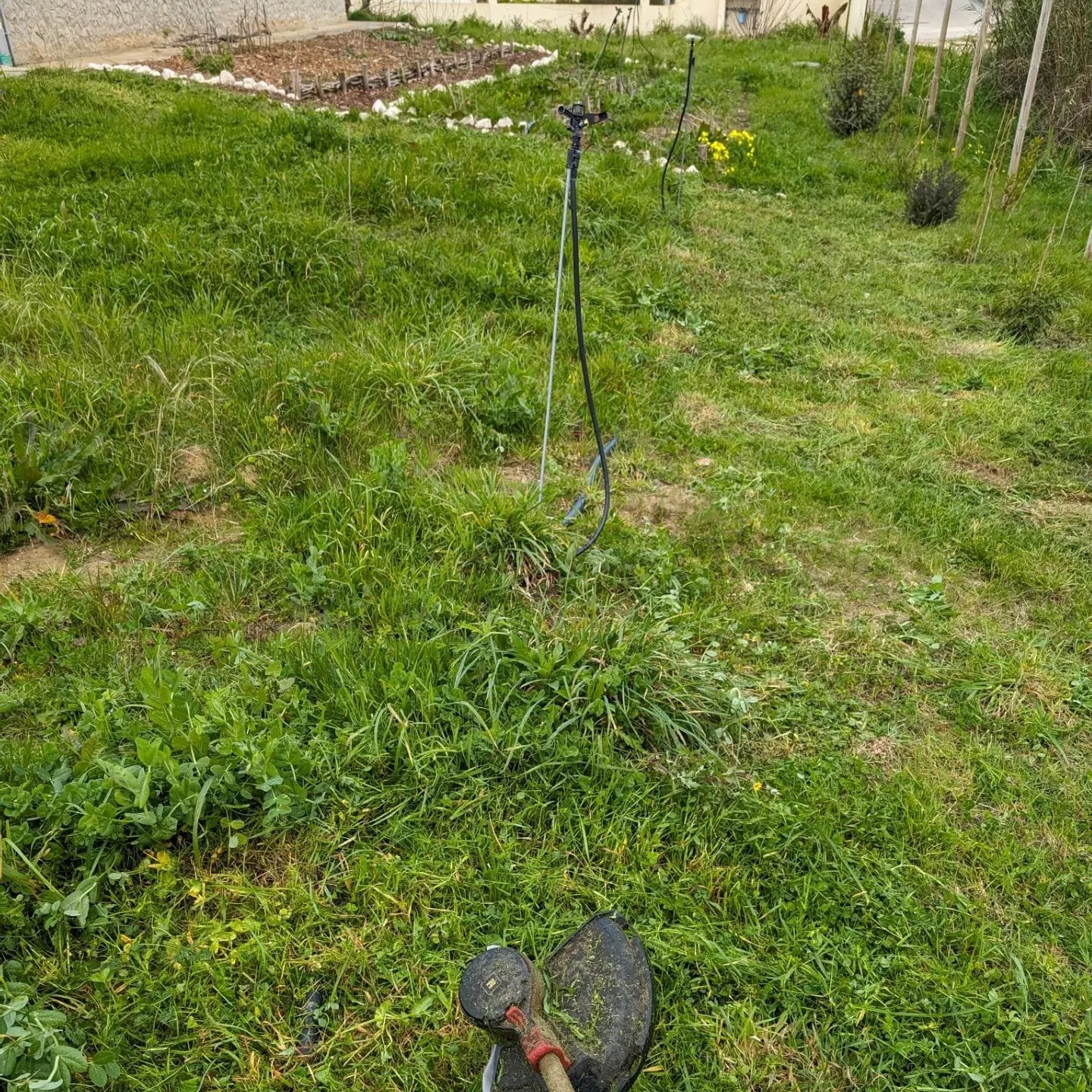 Mowed the playground and part of the east swale berm