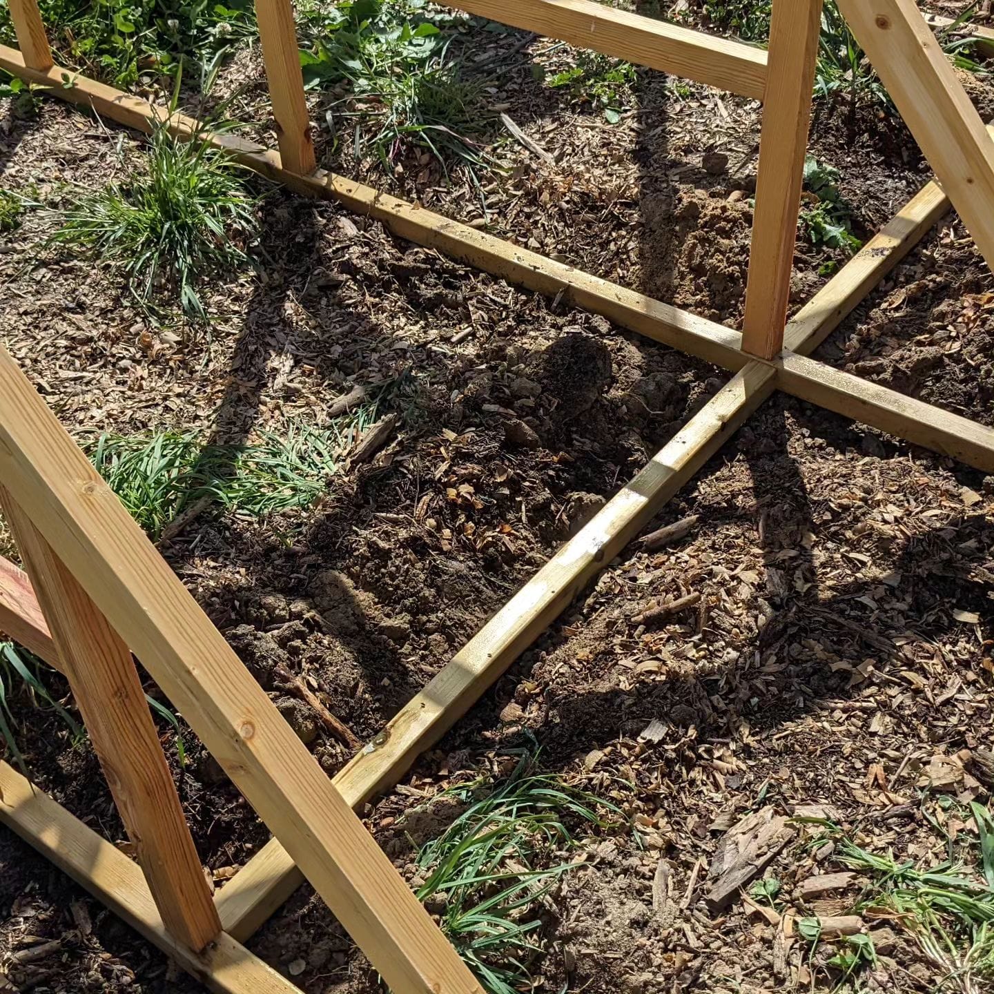 The new bird coop frames are on uneven ground, so we're digging to try to make them lie more or less flat