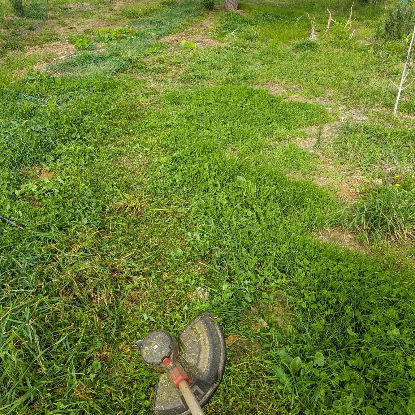 Mowing under the electric fence lines in zone 2