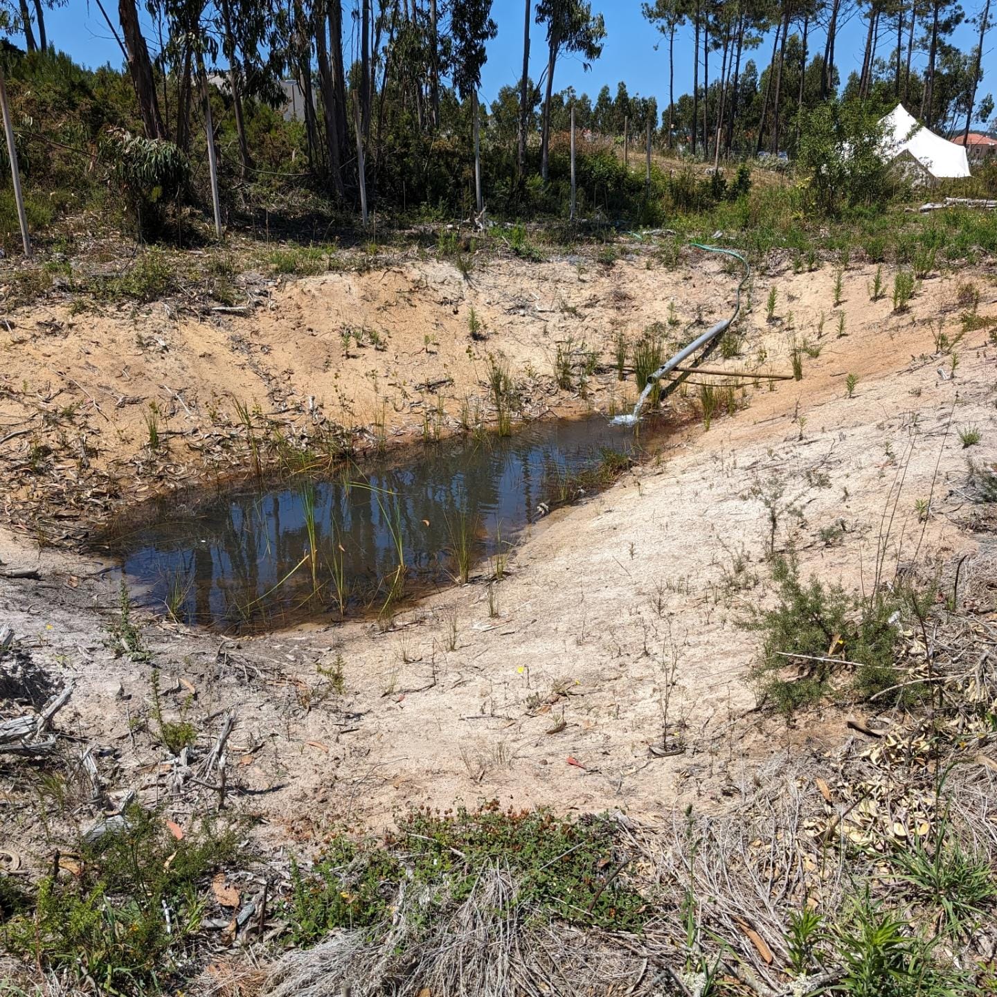 Refilling the south pond for the first time