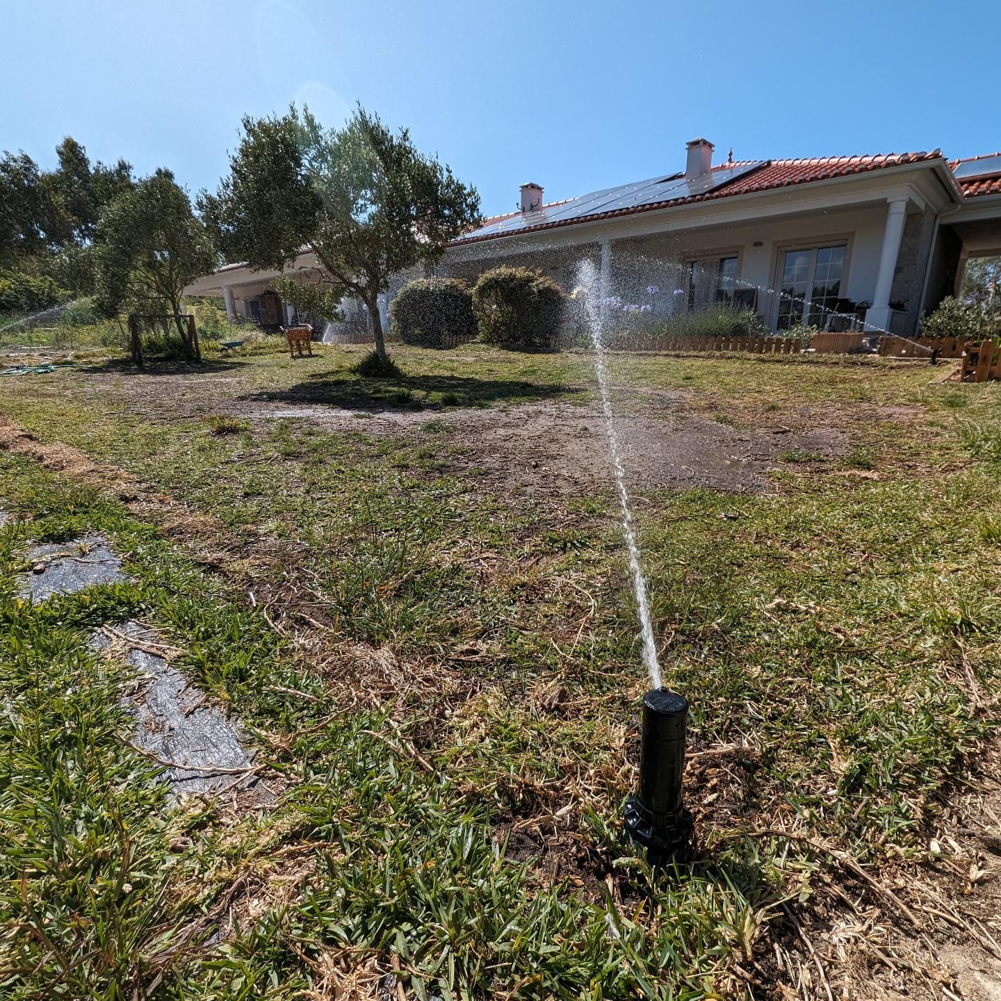 Lawn irrigation up and running!