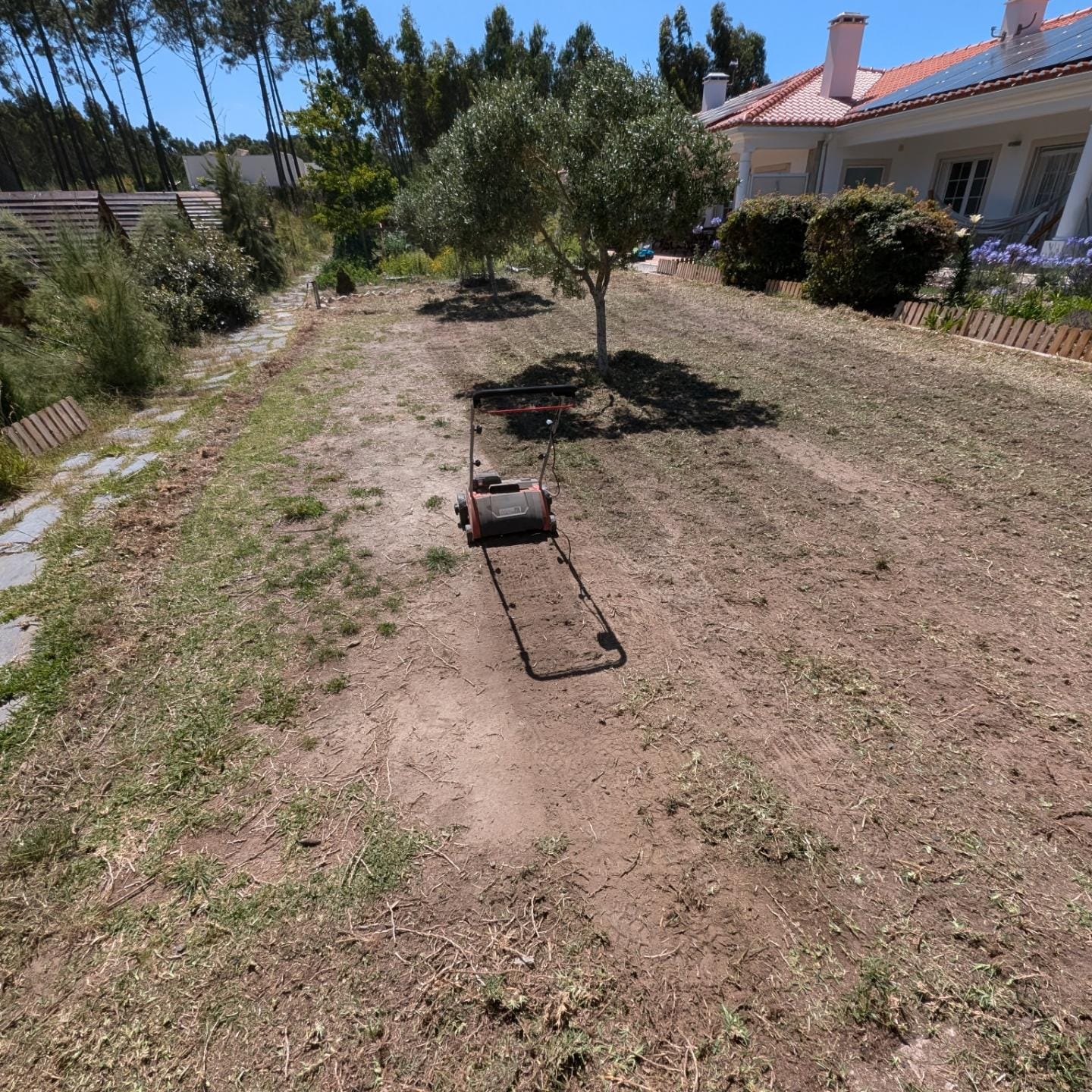 Lawn renovation day