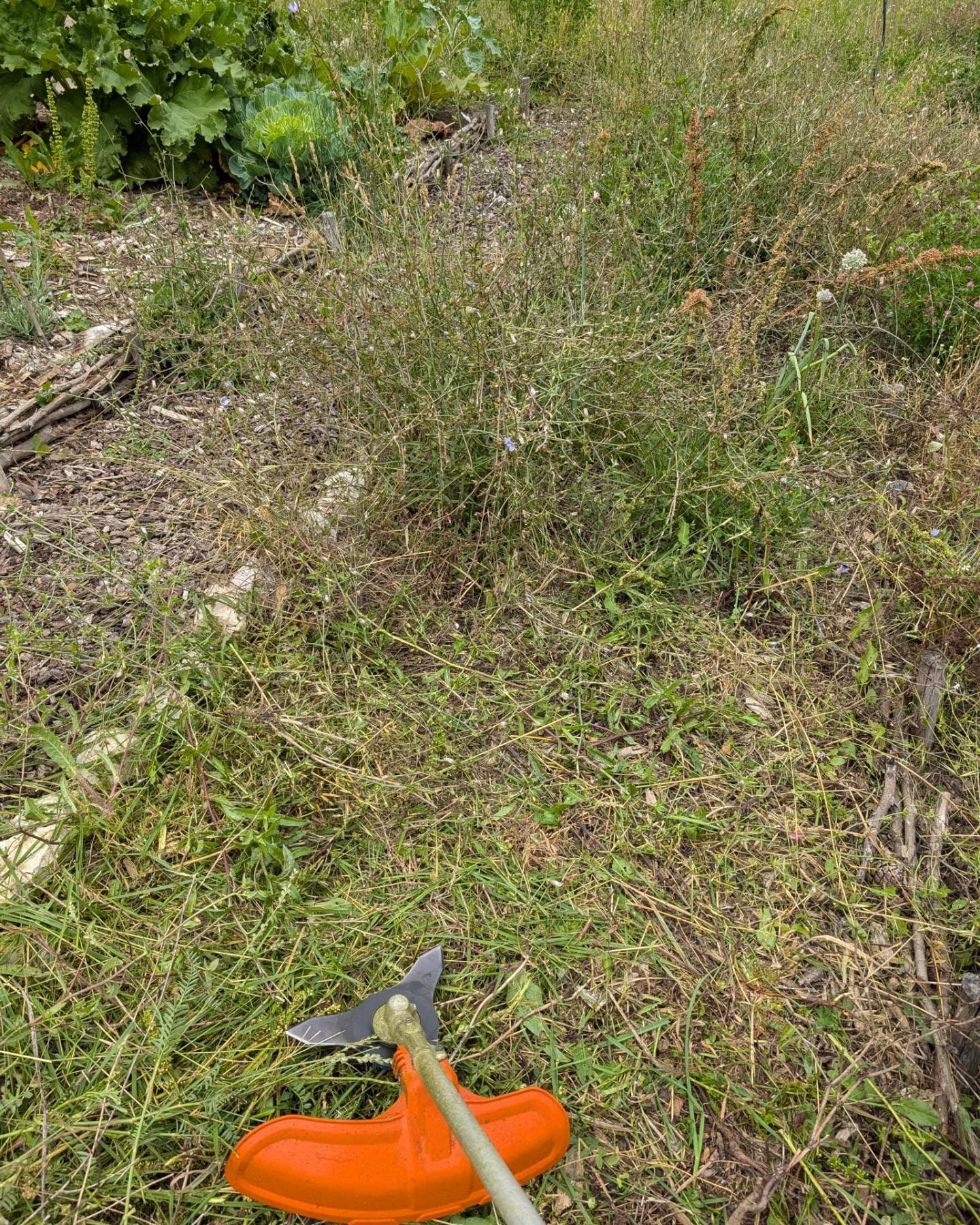 Cleaning the perennial beds and northeast corner