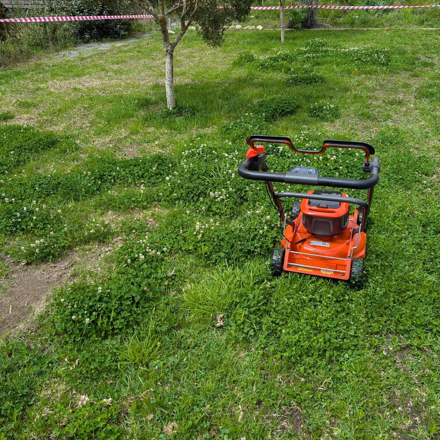 Mowing the lawn