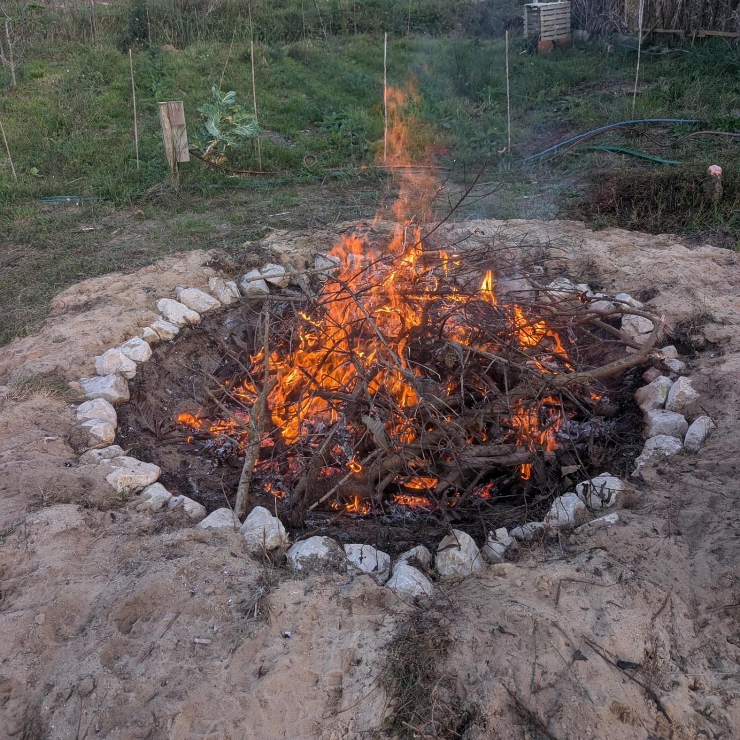 Made biochar for the first time in the cone pit kiln