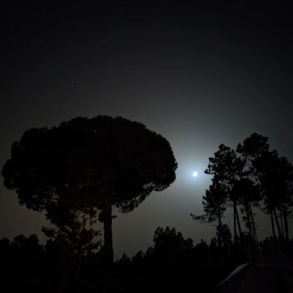 Good night #moonscape