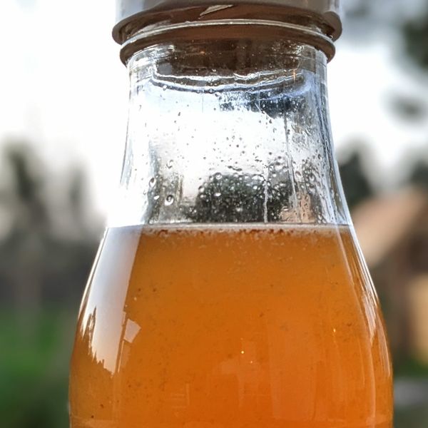 The family loved the two new flavors for the homemade water kefir: