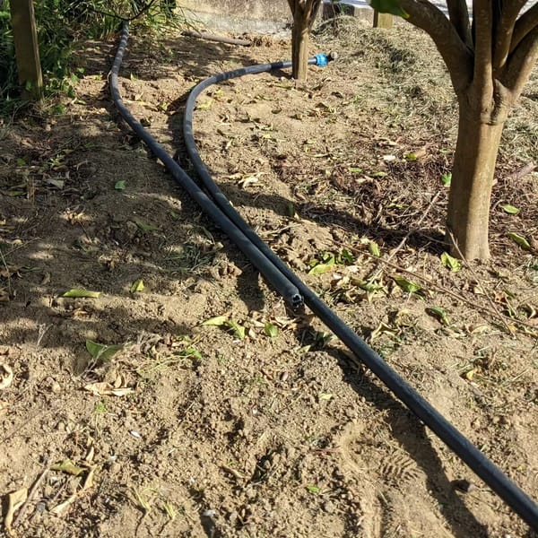 Reconnected a water tap that was impacted by the new pump works