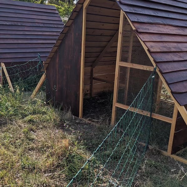 The new poultry house is still missing a door but it had electric fencing and is ready to use