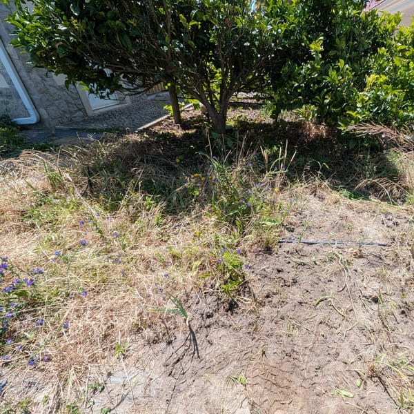 Weeding this area in zone 1 around the BBQ and pump building