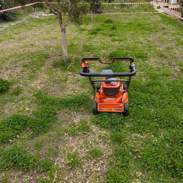 Mowing the lawn for the first time after overseeding