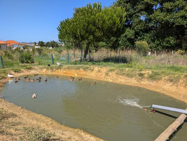 Plumbing for interconnecting the 3 ponds