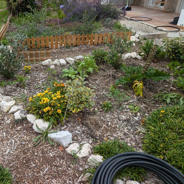 Guest garden irrigation is (finally!) done
