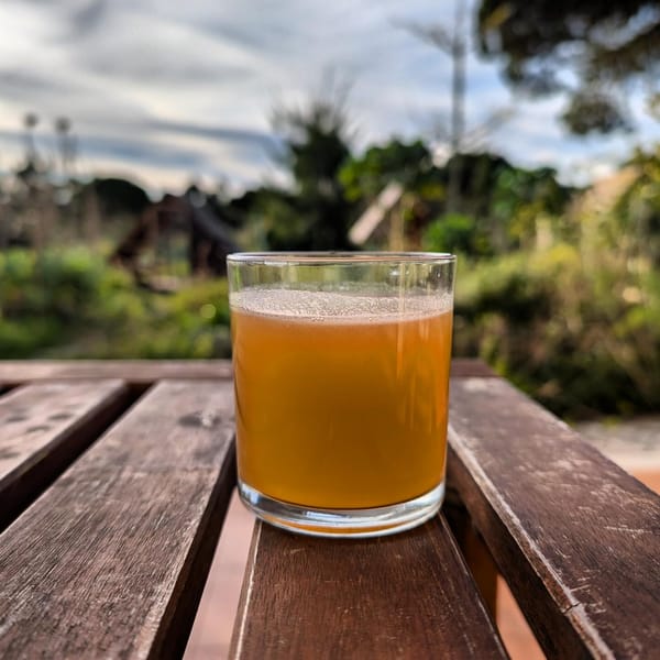 Today we have a better photo of our water kefir: Apple and cinnamon flavored