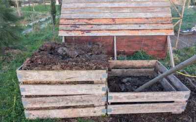 Turning the compost.