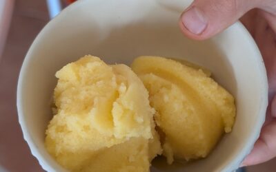 Passion fruit kefir sorbet. We decided to say no to Winter today and have a cold cold sorbet. The children loved it!