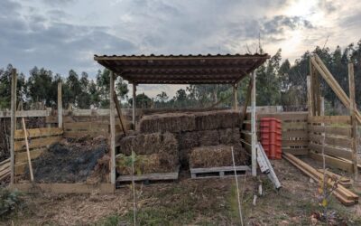 The compost bay is ready, just in time for today’s rain.