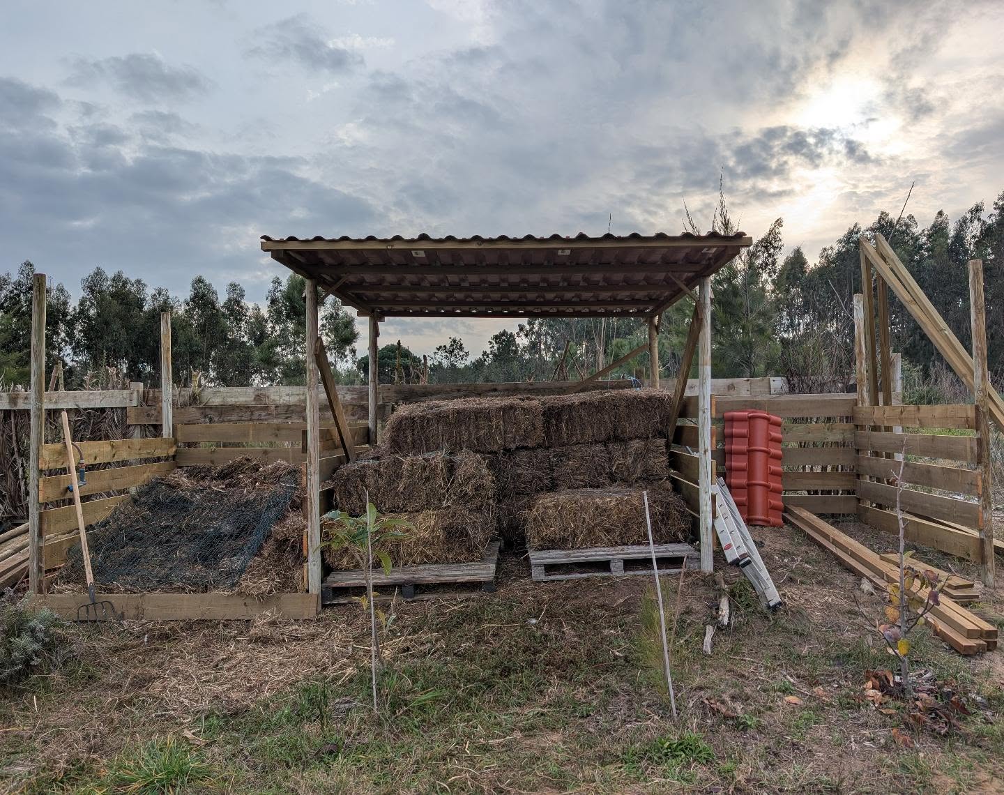The compost bay is ready, just in time for today’s rain.