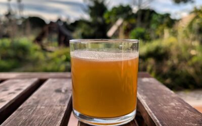 Today we have a better photo of our water kefir: Apple and cinnamon flavored.