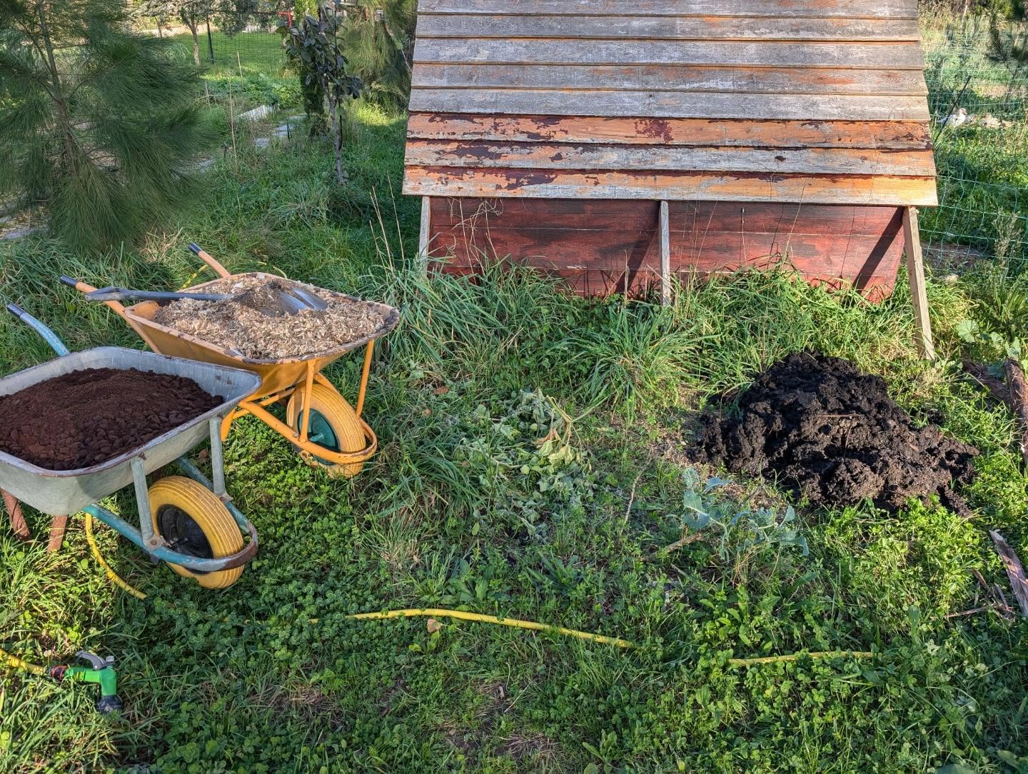 Mixed another batch of compost: coffee grounds, manure, and bedding from the duck coops.