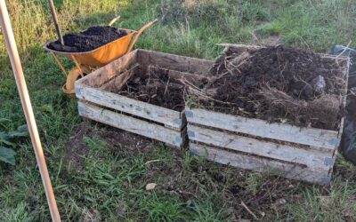 Turning the compost and mixing in biochar.