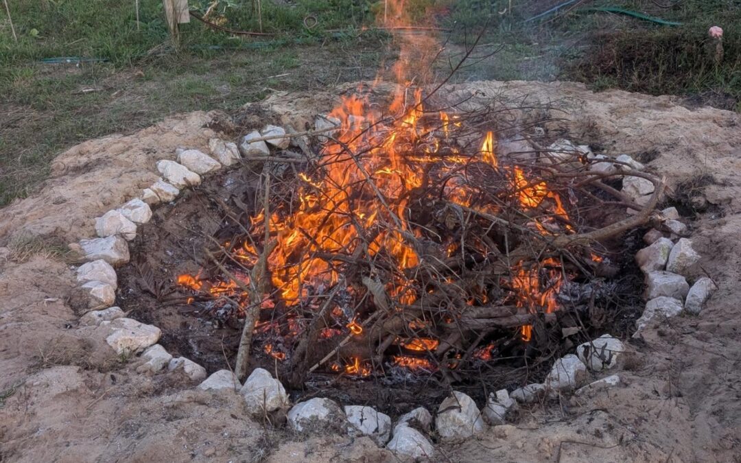 Made biochar for the first time in the cone pit kiln.