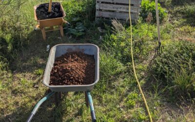 Mixed a batch of compost in the modular bin.