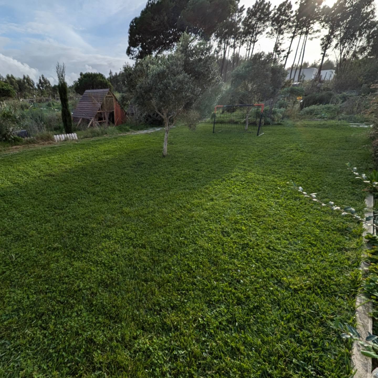 Mowed the lawn and cleaned/mulched some access paths to it.