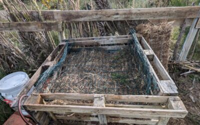 The new compost bin is now active.