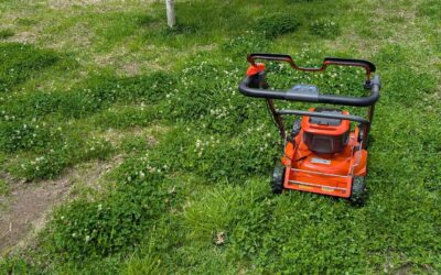Mowing the lawn.