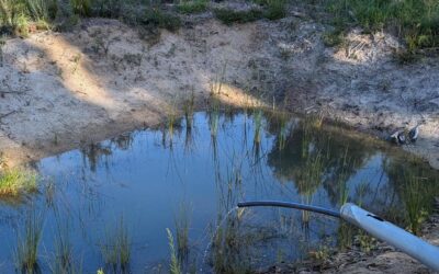 South pond confirmed to be part of the 3 pond link system!