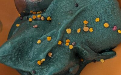 Mango and spirulina sorbet, with polen. Delicious 😋