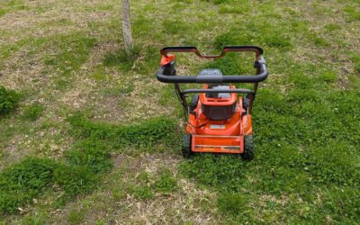 Mowing the lawn for the first time after overseeding.