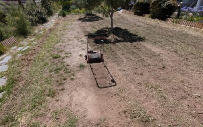 Lawn renovation day.