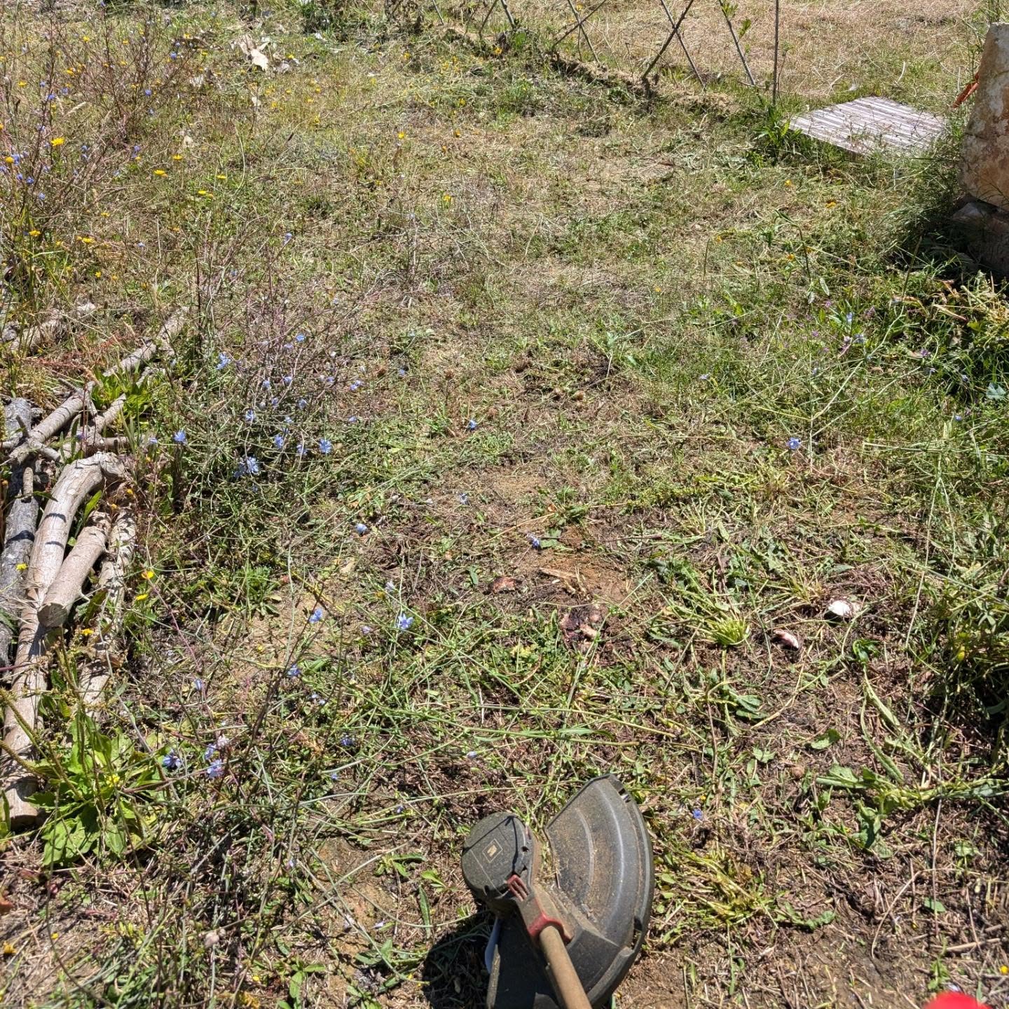 Mowing the playground and (part of) the access circuits.