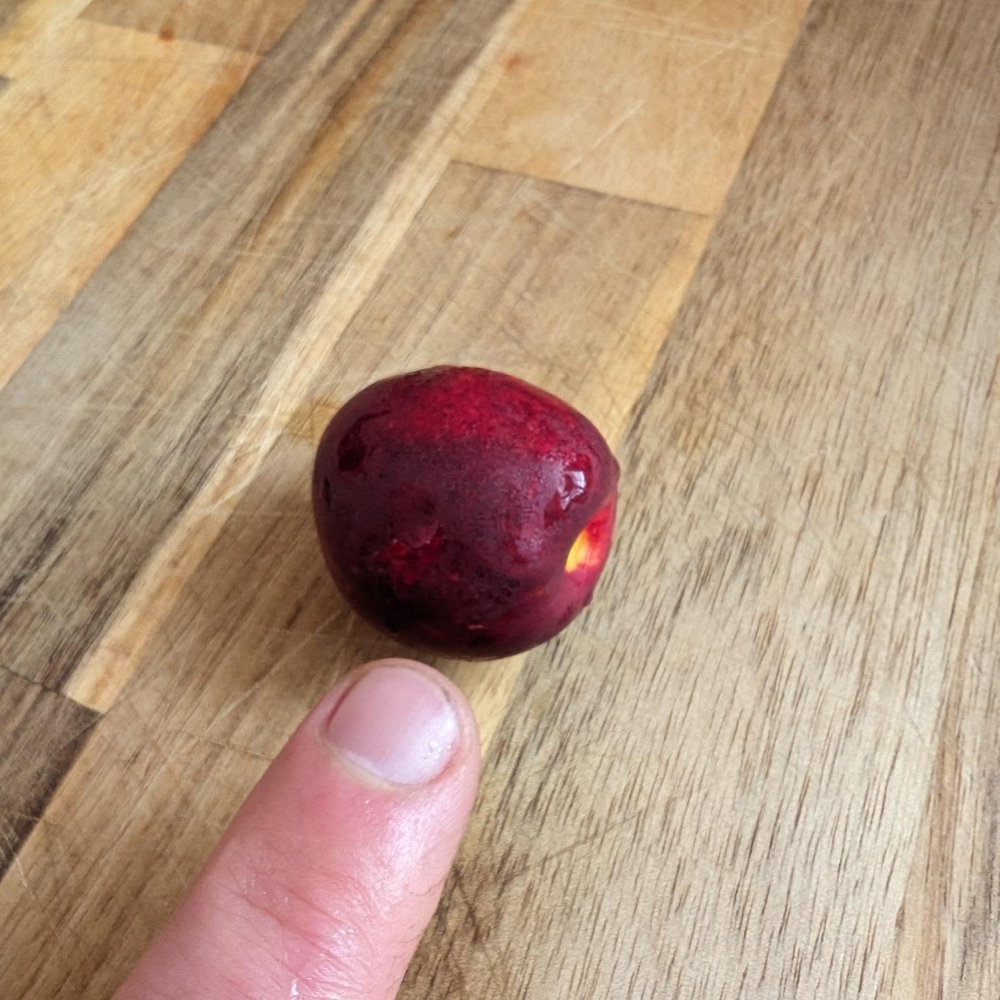 The entirety of our first nectarine harvest! 😅😋