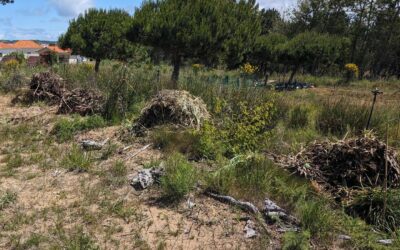 Moving biomass to mulch bare areas on the west swale berm