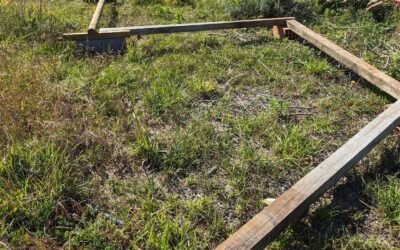 Balance circuit put together from stuff lying around in the garden. More fun (and more difficult) than it seems!