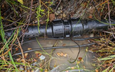 Fun with irrigation repair today: