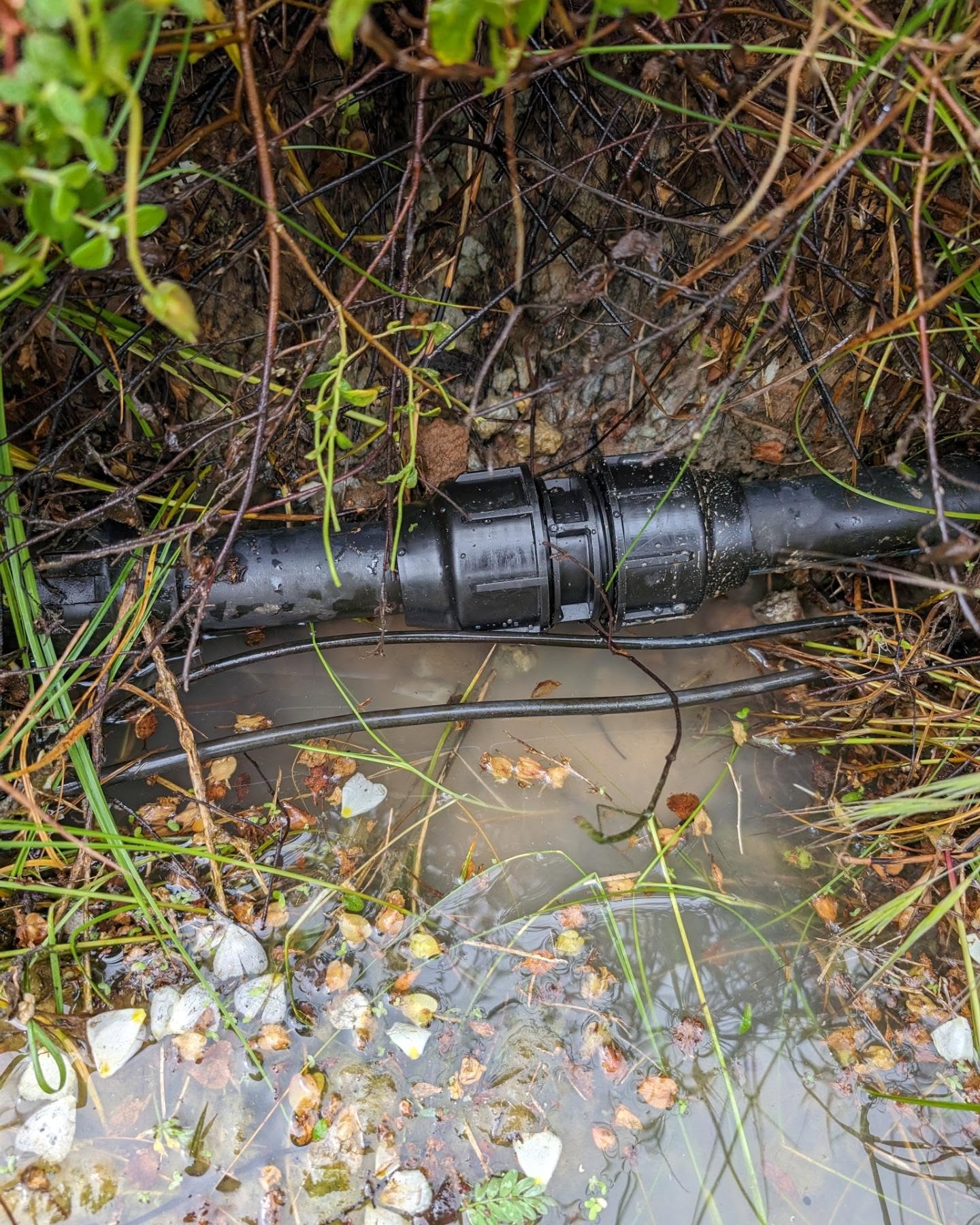 Fun with irrigation repair today: