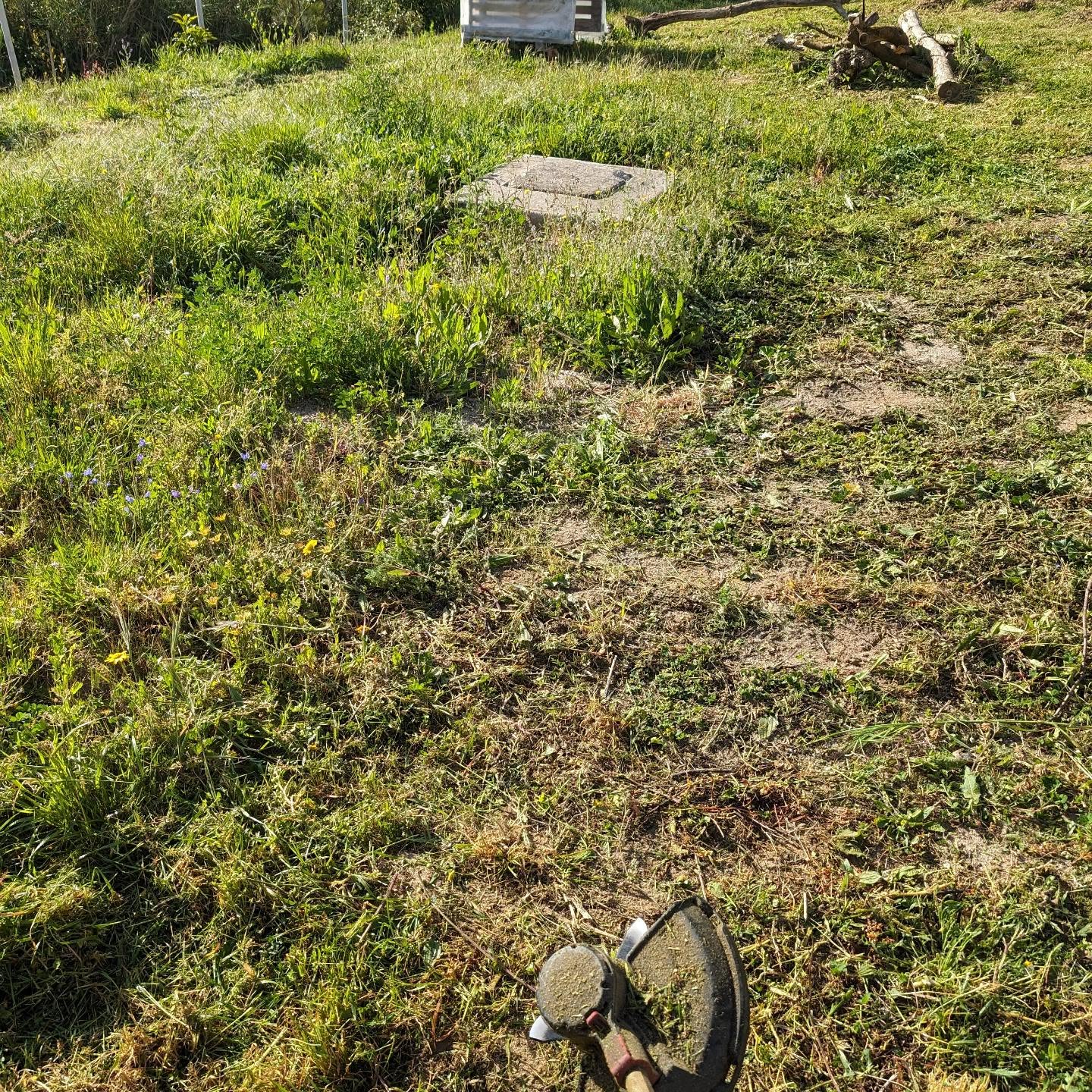 Mowing the playground.