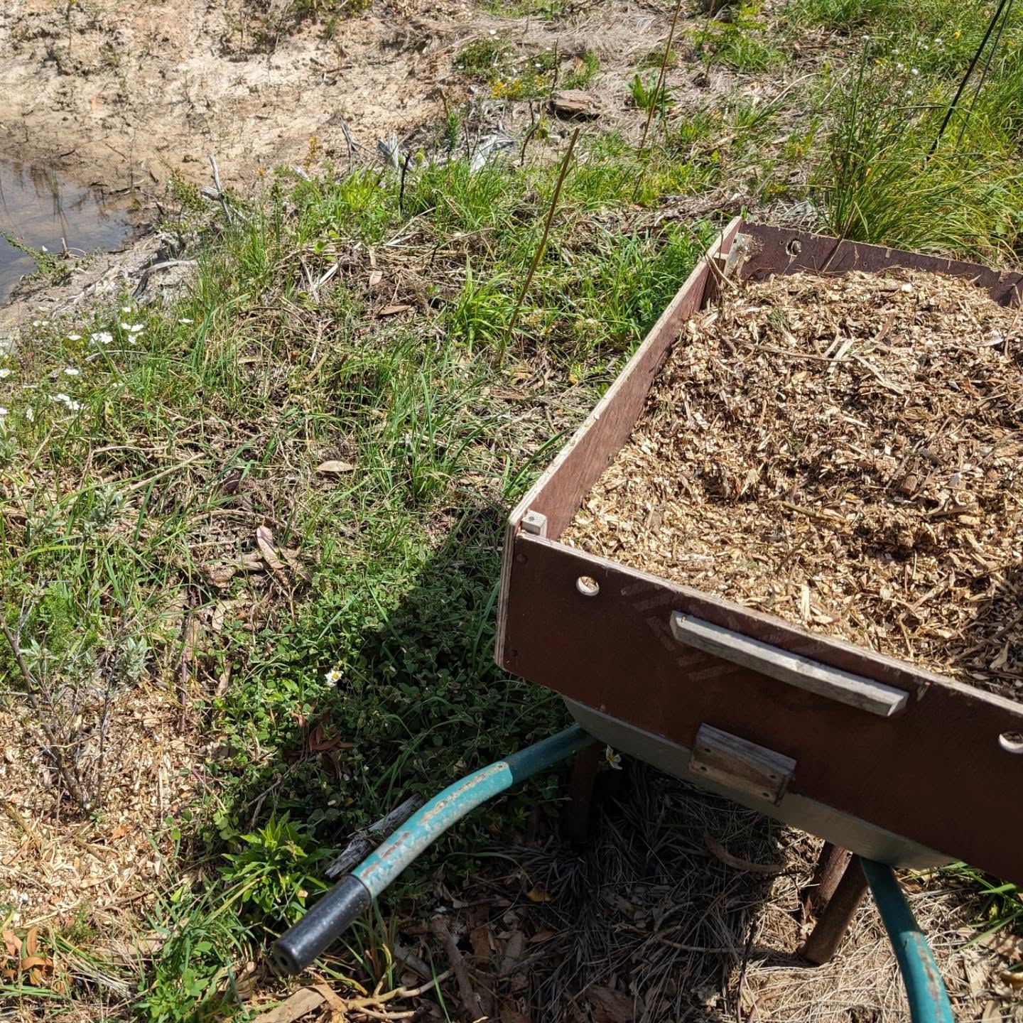 Catching up with mulching for the recently planted trees.