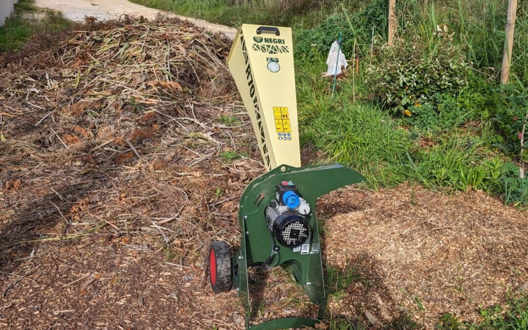 Chipped some branches to prepare mulching material.