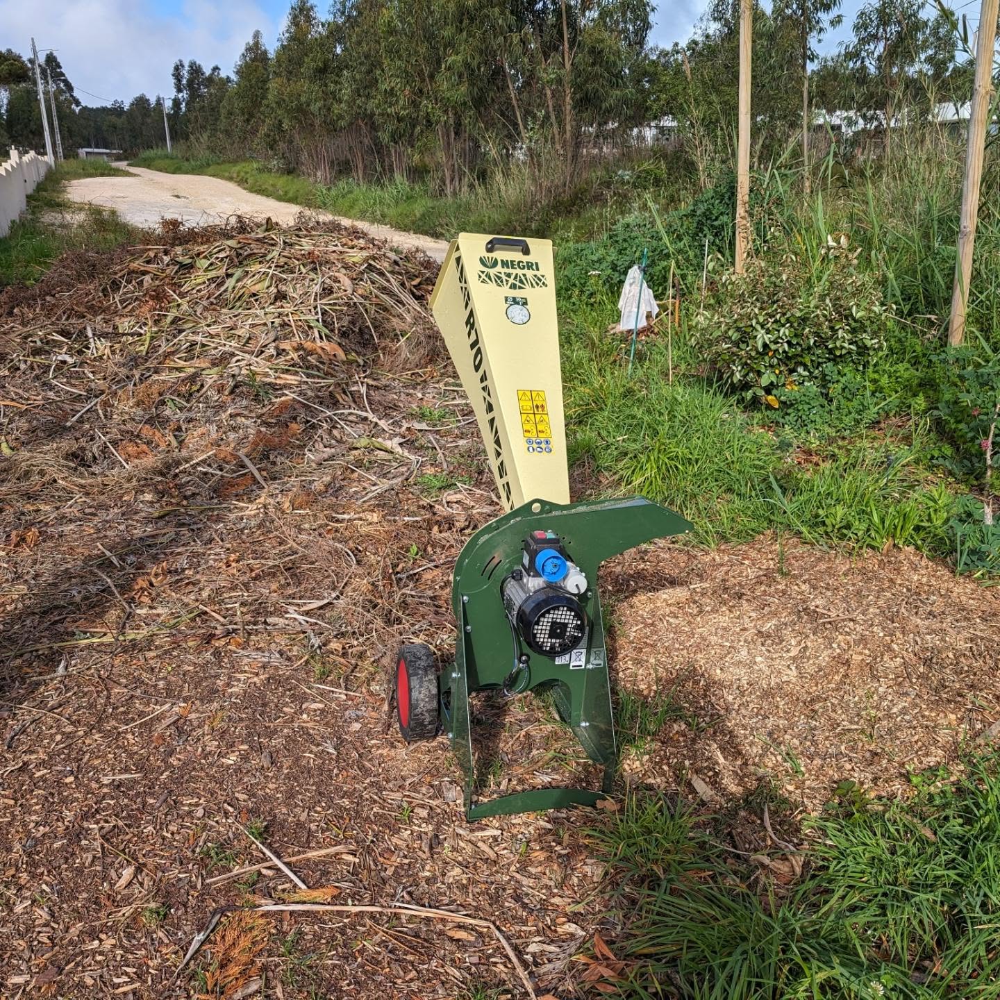 Chipped some branches to prepare mulching material.