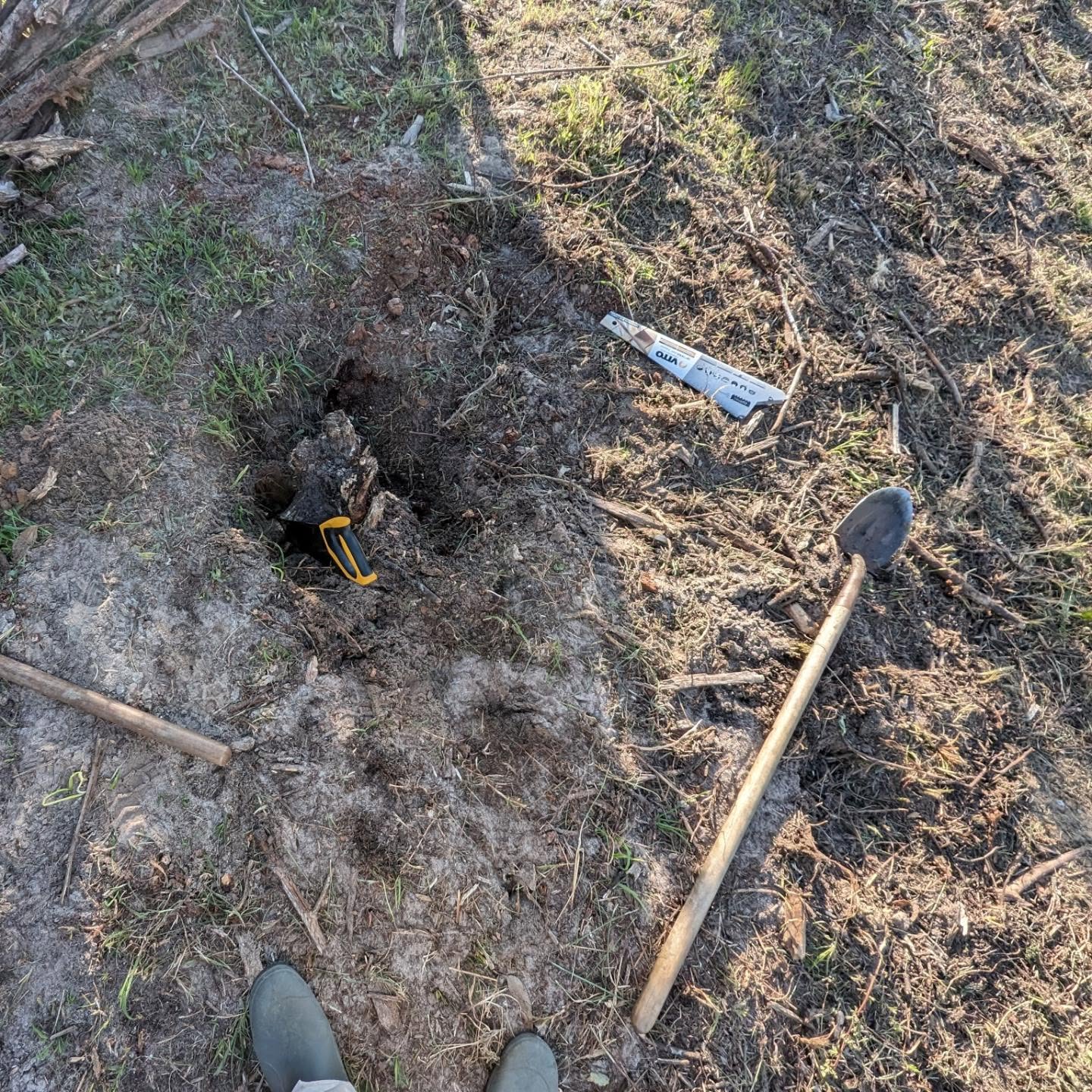 Cleaning, tilling, sowing, and fertilizing the future comfrey patch.